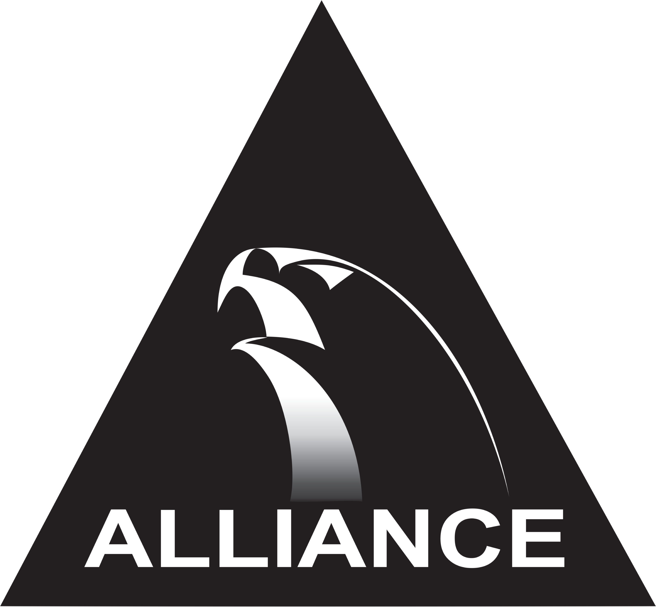 Alliance Jiu-Jitsu Ahead of the 2016 World Championships
